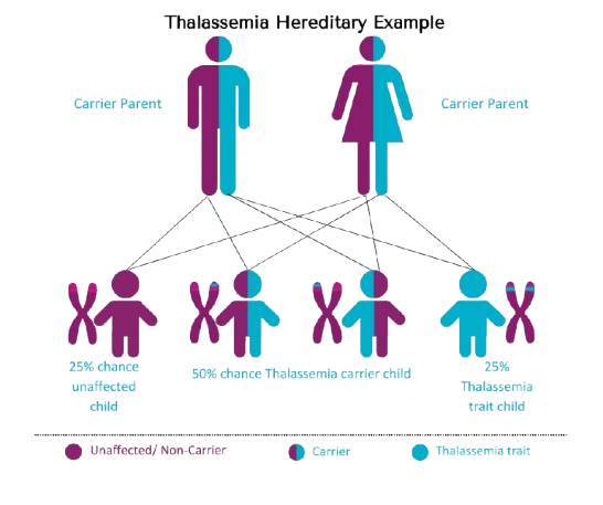 thalassemia hereditary example