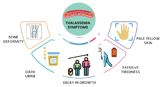 thalassemia symptoms