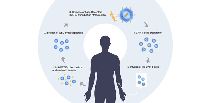 logobiosystem