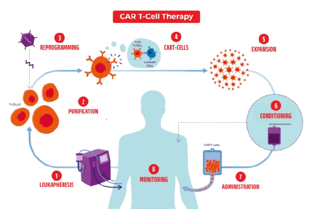 best car t cell therapy experts bmt next best bone marrow transplant center gurugram marengo asia hospital