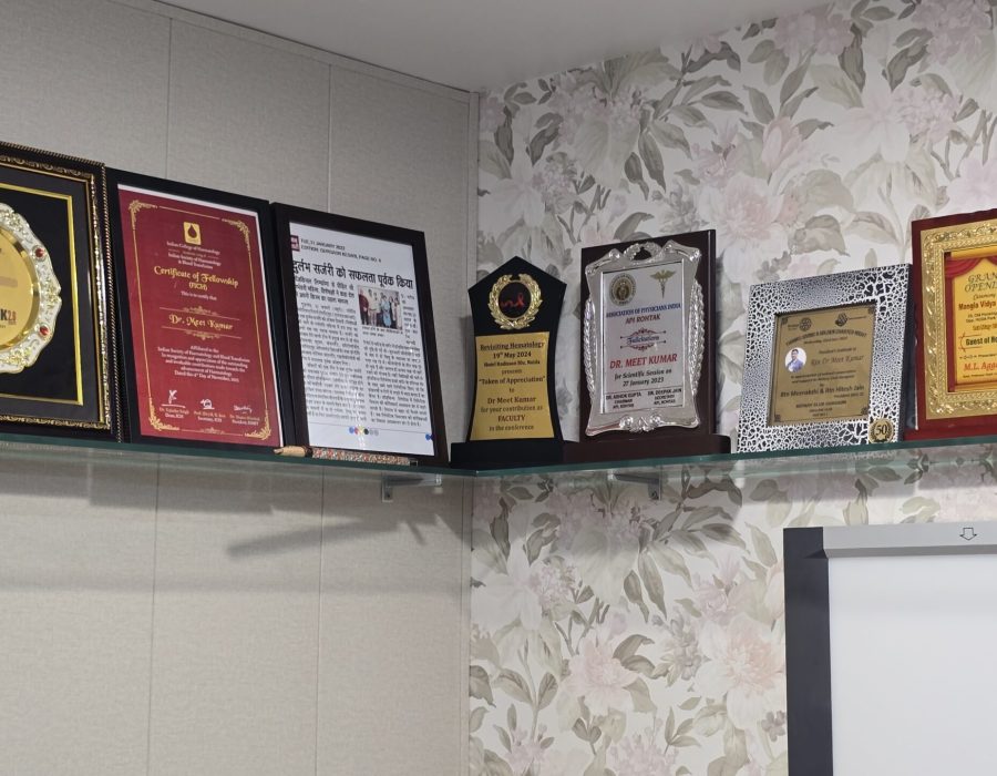 awards received by Dr Meet